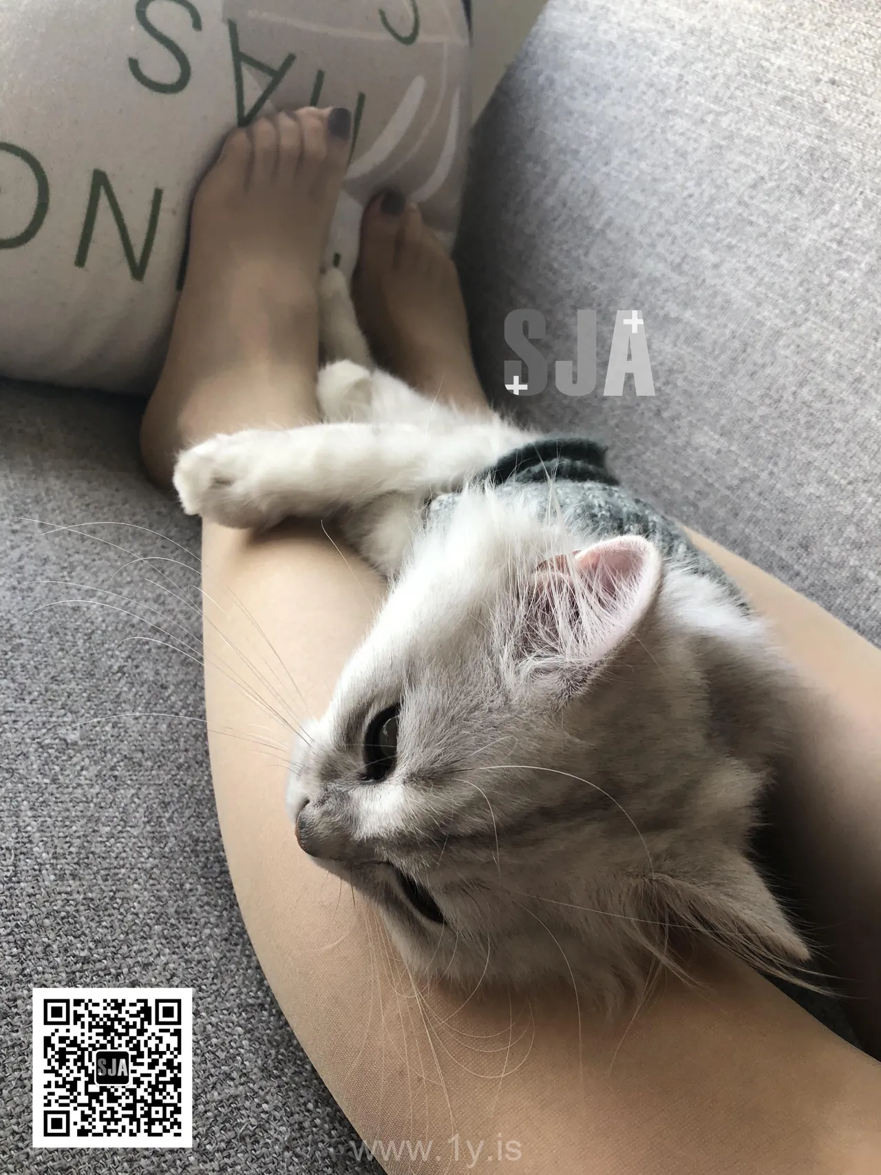 SJA佳爷 VOL.013 闺蜜视角《喵》